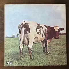 2026年最新】原子心母 lpの人気アイテム - メルカリ