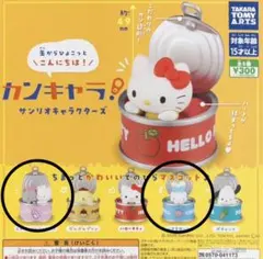 サンリオキャラクターズ カンキャラ シナモロール&ニャニィニュニェニョン セット