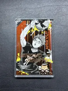 ハイキュー!! ドミノ風アクリルキーホルダーコレクション 日向 - メルカリ