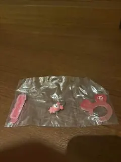 TWICE LOVELYS アクリルカラビナ フロッキーマスコット　チェヨン