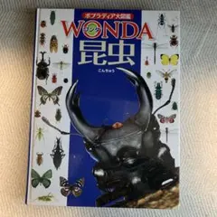 WONDA 昆虫 ポプラ社