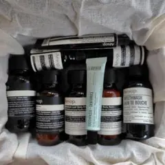 Aesop アムステルダム シティーキット　トラベルキット　専用ポーチ付きのサムネイル