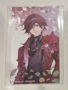アニカフェ ローレン・イロアス カード