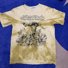 SASSAFRASのサムネイル