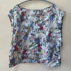 Item thumbnail for item 8a318509-ece4-4583-8b63-c41f85c78253