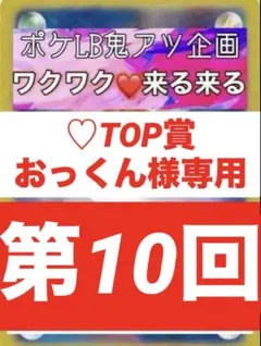 【総購入♡TOP賞】おっくん様専用　カードセイバー1 （２枚）
