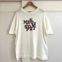SUMMIT オフィシャル ロゴTシャツ L 白 PUNPEE オフィシャル - メルカリ