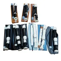 Item thumbnail for item 23f10580-e036-4509-91b2-e1d44659dd35