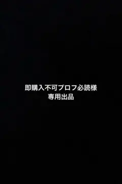 即購入不可プロフ必読様専用出品