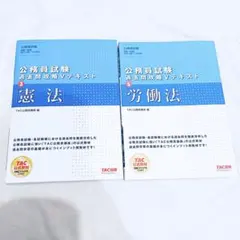 公務員試験 過去問攻略Vテキスト　2020年発行版　憲法　労働法　2冊セット