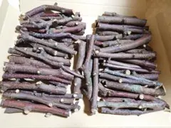 Item thumbnail for item df3fb235-b078-4f13-8814-35a1af1d4759