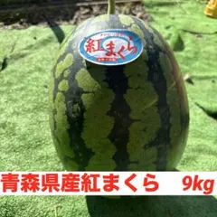 吉四六すいか 特大2玉入り 甘くて美味しい18〜19 Kg - メルカリ