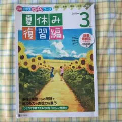 Item thumbnail for item ec4f0890-3d55-4306-94f0-fb847b73c06c