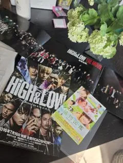 岩田剛典♡HiGH&LOW&植物図鑑 映画ミニパンフ&ハガキセット