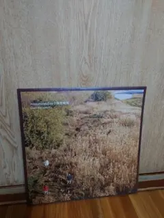 2025年最新】laura day romance レコードの人気アイテム - メルカリ