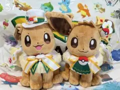 ポケパークカントー 限定 特大 イーブイ ぬいぐるみ 花飾り付き - メルカリ