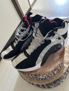 Jordan バスケットボールシューズ 31cm