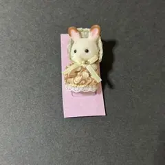 ショコラウサギ 小さい赤ちゃん