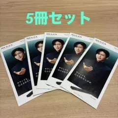 新品 目黒蓮 レグザ サウンドシステムカタログ 5冊 SnowMan