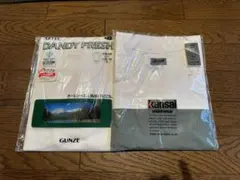 【新品 未開封】　メンズインナー　Tシャツ　2枚セット