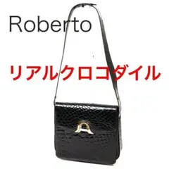 E2864-9◾️リアルクロコダイル ショルダーバッグ