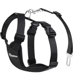 Item thumbnail for item a4d18682-62cc-4a4a-8b0e-14734f67e23c