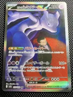 スーパーハト様 リクエスト 2点 まとめ商品