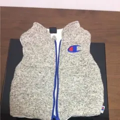 チャンピオン ベスト ノースフェイス