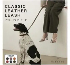 Item thumbnail for item fb8317d7-6a2b-4717-a8eb-0fd6296019b8