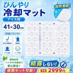 ひんやりマット アイス枕 41×30cm 結露しない氷枕 冷却シート 熱中症対策