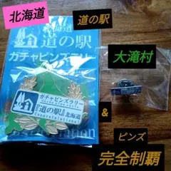 北海道　道の駅　ガチャピンズラリー2020コンプリート 道の駅 ガチャピンズラリー｜ 道の駅ピンズをあつめてまわろう!