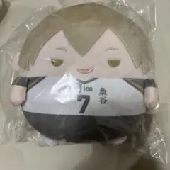 ハイキュー くじメイト ぬいくじ C賞 ふわコロりん Msize 木葉秋紀