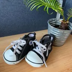 コンバース☆ブラック☆12cm