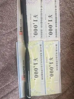 ビックカメラ　コジマ　株主優待券　4000円分