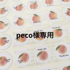 peco様確認用