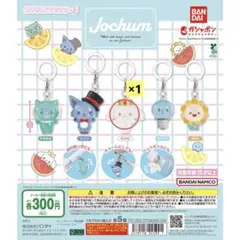 JOCHUM めじるしアクセサリー RURU まめちぃ