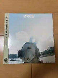 2026年最新】radwimps アナログ盤の人気アイテム - メルカリ