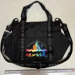 ディズニー　トートバッグ　ショルダーバッグ　2wayバッグ　キャラクター柄