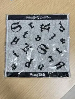 P*N様 Stray Kids アプグレ特典 ハンドタオル