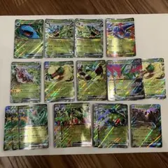 【19枚まとめ】RR 草タイプ フシギバナex オーガポンex ダブルレア