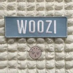 seventeen ワッペン ピンバッジ ウジ