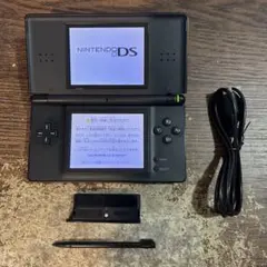 ☆充電器付き☆Nintendo ニンテンドーDS Lite ジェットブラック