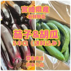 【yosco様専用】なす少し きゅうり5キロ