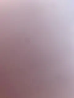 紗様専用ページ