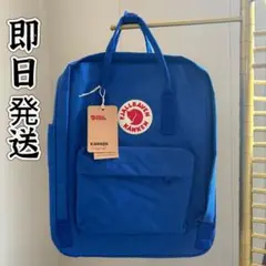 Item thumbnail for item 38d35eff-c50c-43d9-ae9c-e6b1808feb34