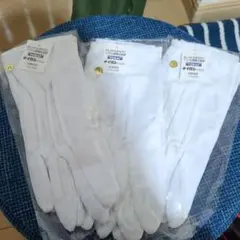 Item thumbnail for item d6c0eaec-9faa-44f4-be5e-76f4f3e78174