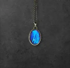 【～12/15まで】本物のモルフォ蝶のアクセサリートップ