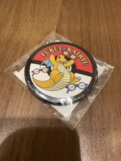 2026年最新】福井 カイリューの人気アイテム - メルカリ