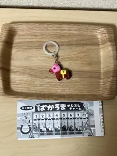 ぱかうま めじるしチャーム ゼッケン7