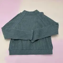 エイミーイストワール グリーン リブセーター Fサイズ